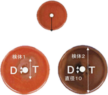 ピロリ菌試験詳細